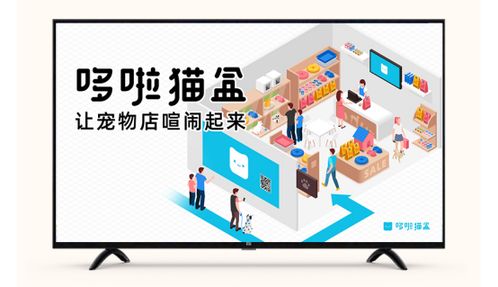 哆啦貓盒 寵物店電視可以像廣告機一樣發(fā)布廣告嗎